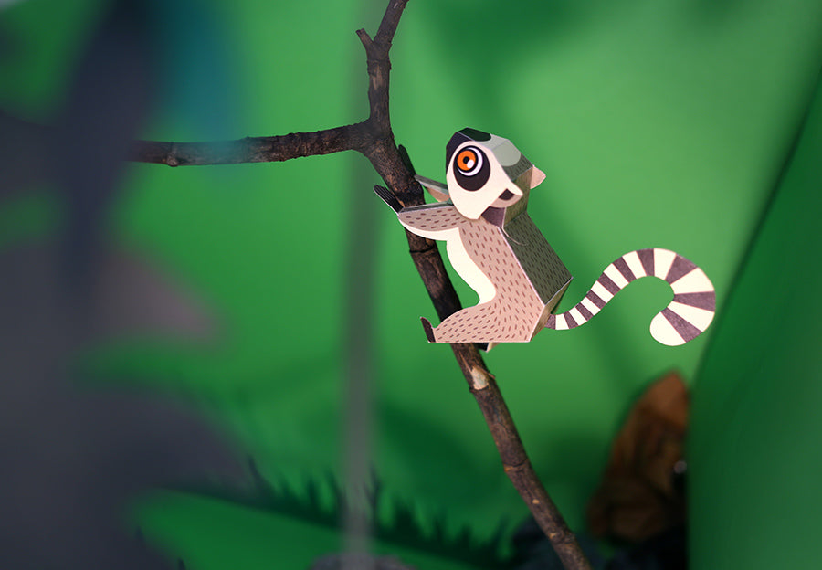 DIY Mini Lemur Educational Papercraft Kit DIY紙製迷你狐猴教學模型套材